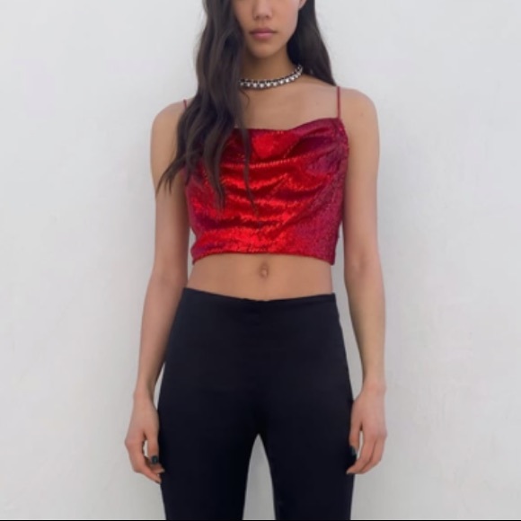 NWT Zara Sequin Crop Top - Picture 1 of 4